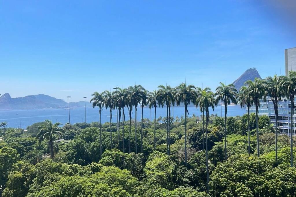 The Beautiful Flat & View Rio de Janeiro
